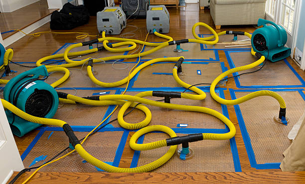 Professional Crawl Space Water Removal technician working in Huntsville, AR